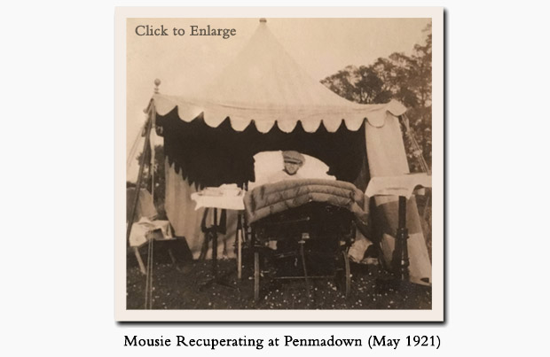 Mousie Recovering at Penmadown after Steeplechase Accident (May 1921)